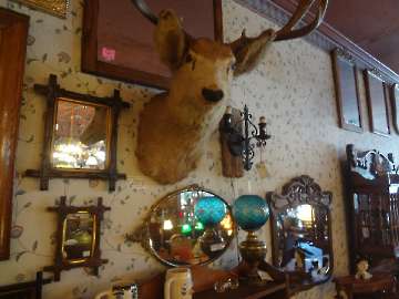 Store Gallery-17